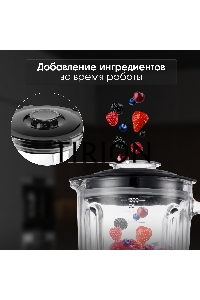 Блендер Zigmund & Shtain BS-446 D