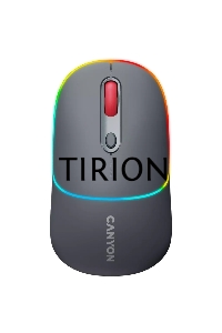Мышь беспроводная Canyon MW-22 темно-серый, 1600 dpi, радиоканал, Bluetooth, USB, кнопки - 4