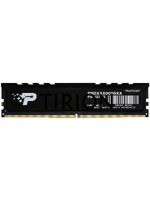 Оперативная память Patriot Signature Premium, DDR5, 32GB (1x32 GB), 4800 MHz, CL40, радиатор, черный