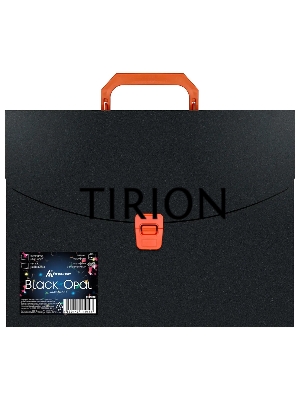 Портфель Бюрократ Black Opal BLPP01OR 1 отдел. A4 пластик 0.7мм черный/оранжевый