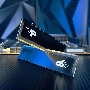 Оперативная память Patriot Signature Premium, DDR5, 32GB (2x16 GB), 5600 MHz, CL46, радиатор, черный