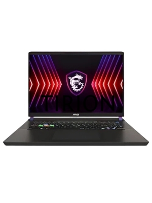 Ноутбук MSI Vector 17 HX A14VIG-899RU Intel Core i9 14900HX 2200MHz/17
