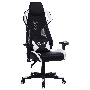 Кресло игровое Cactus CS-CHR-090BLW черный/белый сиденье черный/белый эко.кожа крестовина пластик пластик черный/белый