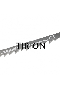 Полотна для электролобзика GROSS по дереву, 2 шт.( 3105 - T244D )  78270