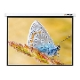 Экран с электроприводом Lumien Master Control 229x305 см (146