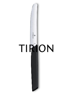 Нож кухонный Victorinox Swiss Modern (6.9003.11) стальной столовый лезв.110мм прямая заточка черный