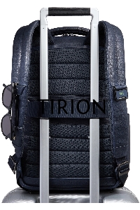 Рюкзак Piquadro Cronus CA6688S134/BLU синий кожа