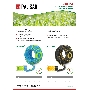 Шланг поливочный армированный 3 слойный ТЭП 1/2'', 35 м, аграрный  Palisad
