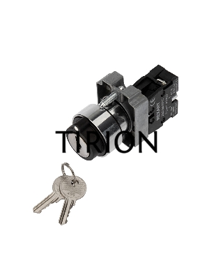 Переключатель BD21 2P с замком NO REXANT