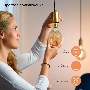 Лампа светодиодная Gauss филаментная Smart Home DIM+CCT E27 Diamond Golden 6,5 Вт 2000-5500К 1370112
