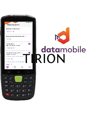 Неискл. право на исп-ие ПО DataMobile версия Стандарт LifeTime (DM)
