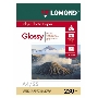 Фотобумага Lomond 0102049 A4/230г/м2/25л./белый глянцевое для струйной печати