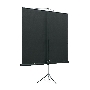 Экран на треноге Lumien 200x200см Eco View LEV-100103 1:1 напольный рулонный